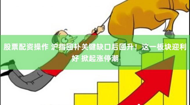 股票配资操作 沪指回补关键缺口后回升！这一板块迎利好 掀起涨停潮